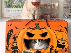 -烤匠麻辣烤鱼(万象城店)