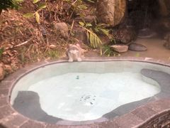 -汇雅温泉