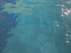 -中山夏威夷游泳馆(小榄店)