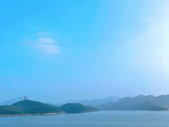 -望湖烤鱼