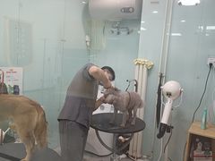 -中农大我爱我爱动物医院·核磁CT·猫病·24小时夜诊中心(石佛营店)