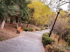 -太子山公园(园东路)