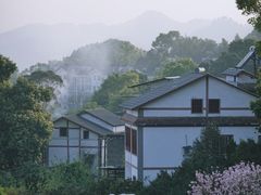 -南山植物园