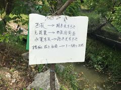 -新塘水果乐园(东洲大道店)
