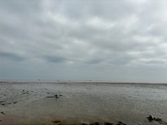 -北海金海湾红树林生态旅游区