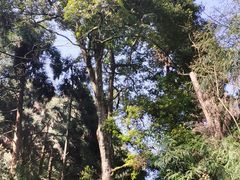 -青城山