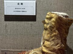 -巴音郭楞蒙古自治州博物馆
