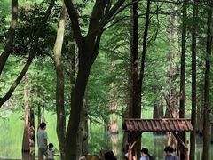 -广州市帽峰山景区