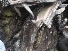 -福建泉州仙公山风景名胜区