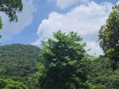 -阳台山森林公园