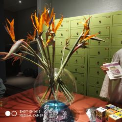 -奈瑞儿美颜美养SPA