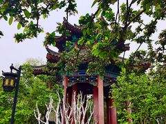 -济南大明湖景区