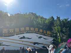 -西双版纳原始森林公园