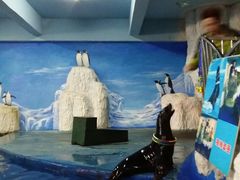 -泉州海丝野生动物世界