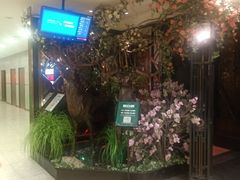 -新白鹿餐厅(悠迈生活广场店)