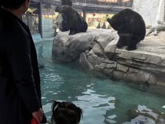 -灵玲国际马戏城
