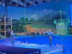 -海合安武汉极地海洋公园