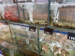 水产区-蓝湾碧波·老字号·疍家非遗海上餐厅