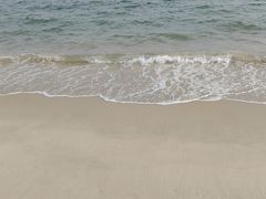 -玫瑰海岸文化旅游度假区