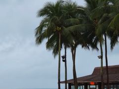 -石梅湾艾美度假酒店