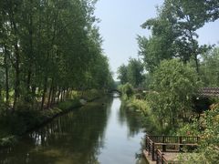 景点-合肥滨湖国家森林公园