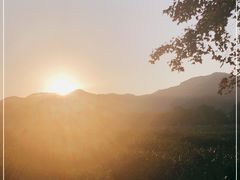 -中国茶叶博物馆(双峰馆区)