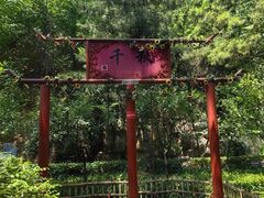 -西安曲江寒窑遗址公园