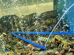 -鲜味食族水产·海鲜餐厅
