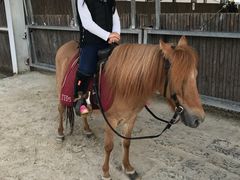 -松声马术俱乐部