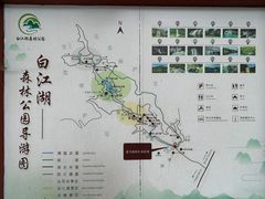 -广州白江湖森林公园