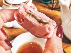 马卡龙-也枫·小黄楼(南山路旗舰店)