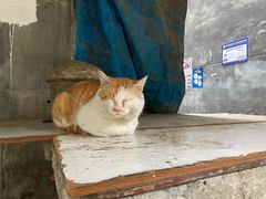 -古道第一家餐馆