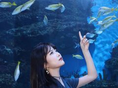 -海合安成都极地海洋公园