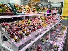 -KKV(天津津南吾悦广场店)