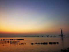 -芒洲湿地公园