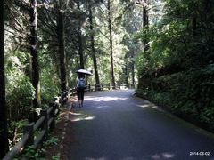 -千岛湖龙川湾
