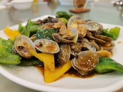 -新金盛·海鲜酒楼(盐田店)