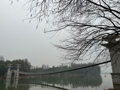 -东湖落雁景区