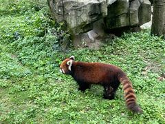 -黔灵山公园