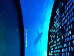 iphone_upload_pic-同济大学四平路校区深海探索馆