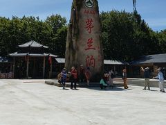 -茅兰沟国家森林公园