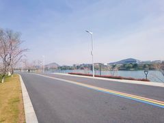 -羊山湖公园