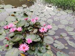 -红色娘子军纪念园