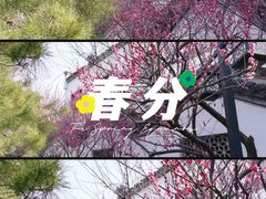 -南京民俗博物馆(甘熙故居)