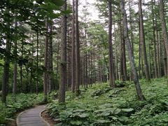 -洛阳白云山景区