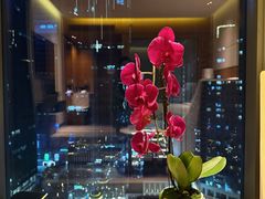 -珠海中海雅高铂尔曼酒店