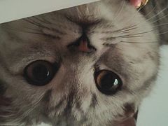 -上海市松江区中心医院