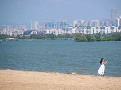 -瑶湖郊野森林公园