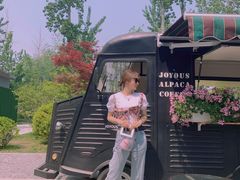 -禧宴Joyous Restaurant(禧园店)