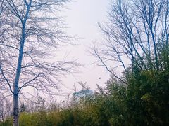 -北极寺公园